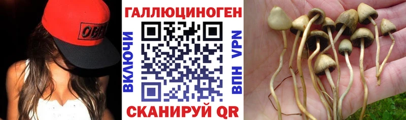 Галлюциногенные грибы мицелий  гидра ТОР  Суоярви 
